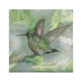 Hummingbird Premium Pillow Case (NO PILLOW Insert, pillow case only)