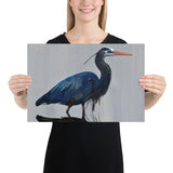 Great Blue Heron Standing Giclée Art Poster