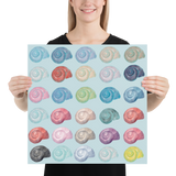 Rainbow Shells Giclée Art Poster