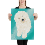 White Hungarian Puli Dog (Gwydion) Giclée Art Poster