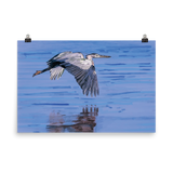Great Blue Heron Giclée Art Poster