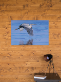 Great Blue Heron Giclée Art Poster
